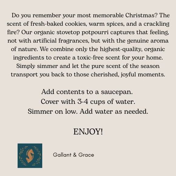 CHRISTMAS MEMORIES Holiday Stovetop Potpourri With Dried Fruit and Spices - Picture 3 of 5